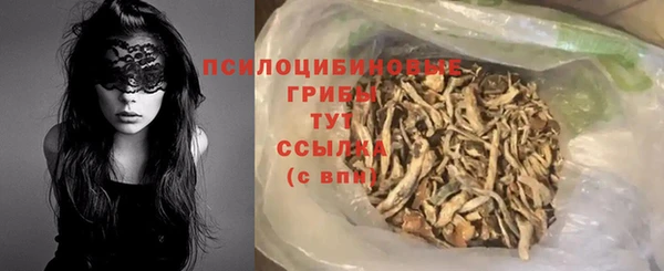 не бодяженный Арсеньев