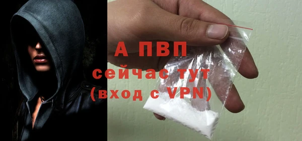a pvp Аркадак