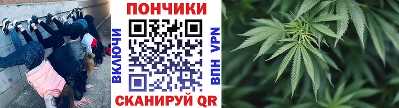 Конопля AK-47 Полярный